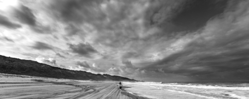 Fine Art-2